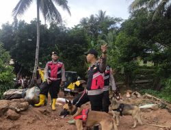Dibantu Unit K9, Tim Gabungan Terus Berjuang Temukan 13 Warga Hilang Musibah Longsor