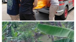 Pembacokan Hingga Tewas di Karang jaya Tasikmalaya, Polisi Ungkap Masalah Ternyata Batas Tanah Jadi Pemicu