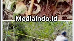 Polisi Masih  Selidiki Temuan Diduga Tengkorak Manusia Di Dekat Perumahan di Desa Parakanhonje Akan Hadirkan Tim Inafis untuk Memastikan Indentitas