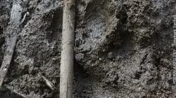 Warga Temukan Jejak Kaki Binatang Buas di Desa Kawitan, Desa Mandalaguna Salopa